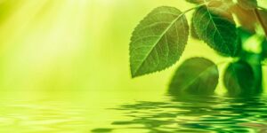 How Climate Change Is Affecting Vulnerable Communities Worldwide