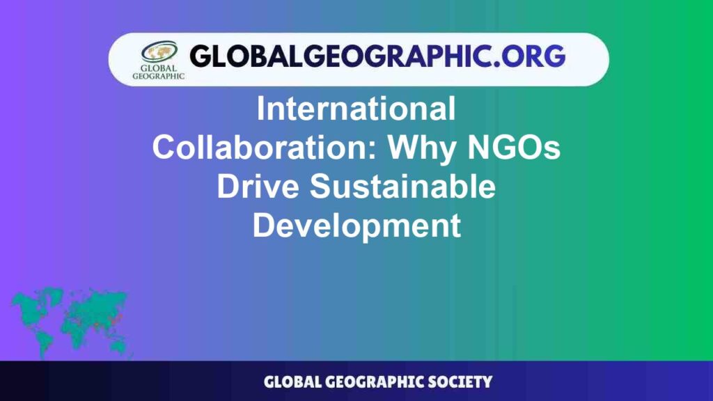 International Collaboration: Why NGOs Drive Sustainable Development