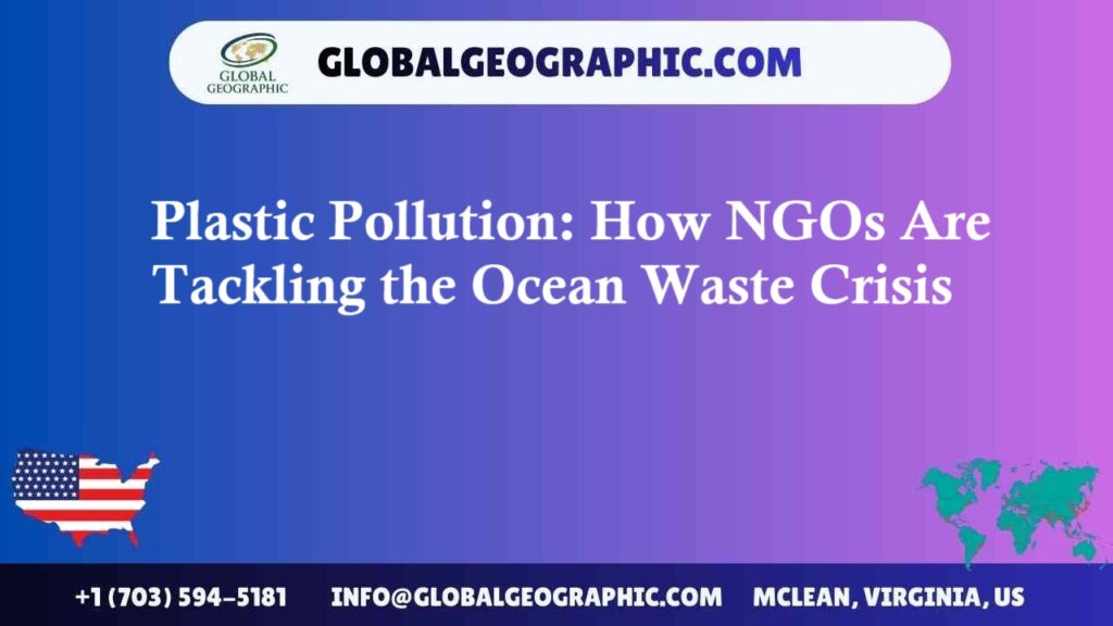 Plastic Pollution: How NGOs Are Tackling the Ocean Waste Crisis