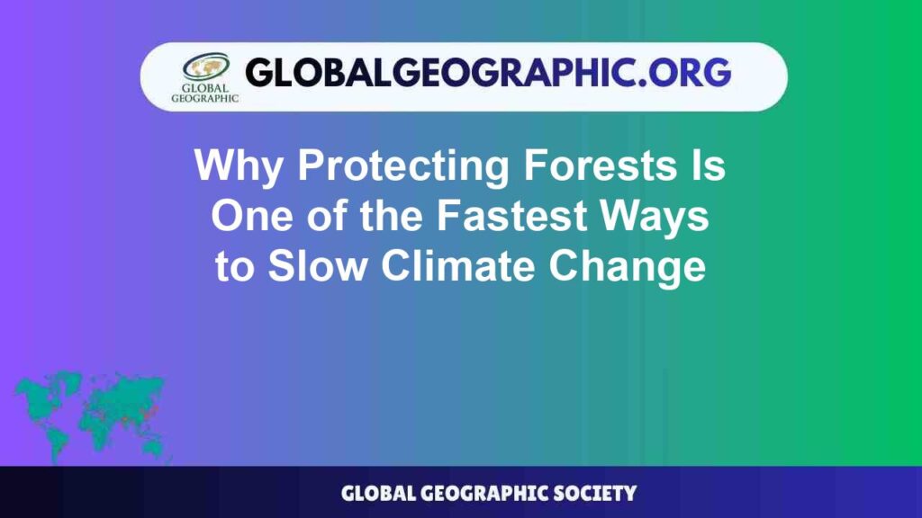 Why Protecting Forests Is One of the Fastest Ways to Slow Climate Change