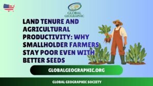 Land tenure and agricultural productivity Why smallholder farmers stay poor even with better seeds